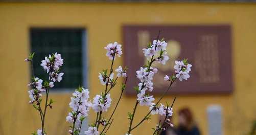 打春和立春有什么區(qū)別,立春和打春詞語(yǔ)哪個(gè)好一點(diǎn)圖3