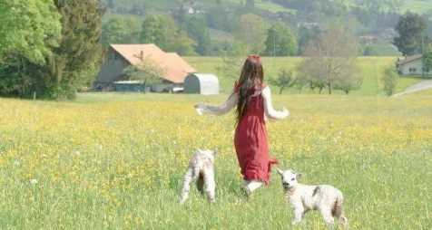 打春和立春有什么區(qū)別,立春和打春詞語(yǔ)哪個(gè)好一點(diǎn)圖4