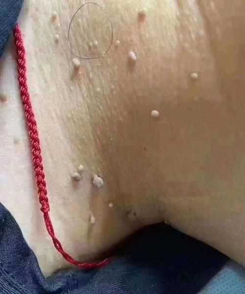 猴子是用什么來辨味道的