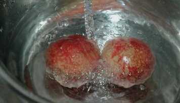 什么可以清除桃子表面的細(xì)毛,桃子去毛怎么洗干凈圖5