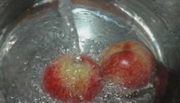 什么可以清除桃子表面的細(xì)毛,桃子去毛怎么洗干凈圖8