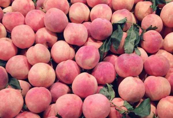 什么可以清除桃子表面的細(xì)毛,桃子去毛怎么洗干凈圖19