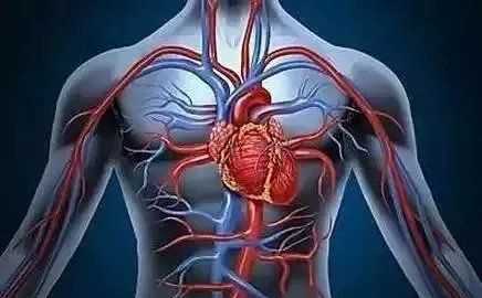 o型血為什么是萬能血,o型血為什么是萬能血圖4