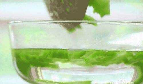 炒苦瓜怎么炒,炒苦瓜的正確方法圖12