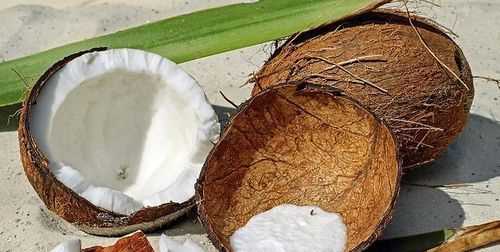 椰青里面的白色果肉可以吃嗎
