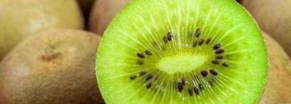 獼猴桃需要放冰箱,獼猴桃需要放冰箱冷藏嗎圖3