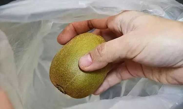 獼猴桃能放冰箱冷藏保存嗎