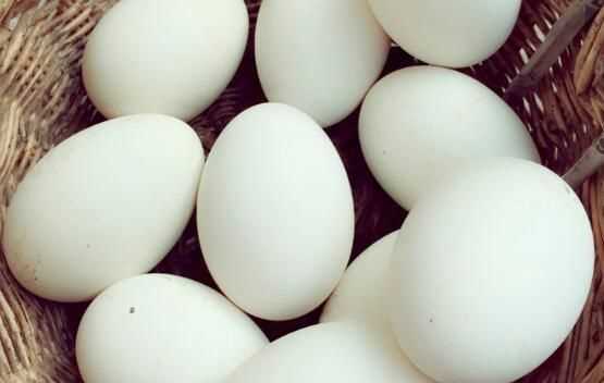 鵝蛋放冰箱能放多久
