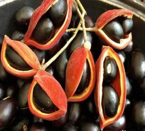 鳳眼果怎樣快速去皮,鳳眼果的殼有什么作用