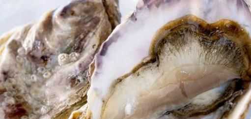 生蠔什么不能吃