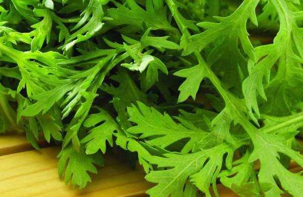 芹菜葉子怎么做好吃,芹菜葉怎么吃圖4