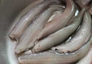 椒鹽龍頭魚的做法竅門,剁椒龍頭魚的做法竅門圖4