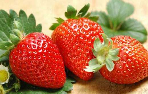 春天有哪些水果,春天吃的水果有哪些圖7