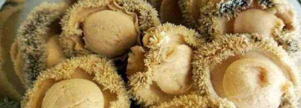 小干鮑魚仔泡發(fā)5小時(shí)可以,干鮑魚要泡多久才能煲湯圖1