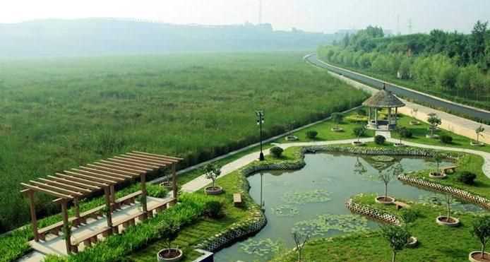 濕地對農業(yè)發(fā)展有何作用急！肯定有caina