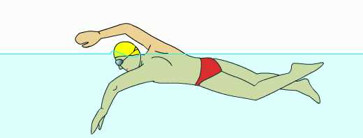 游泳的基本動作視頻講解