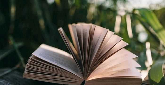 廣東話的早晨是什么意思