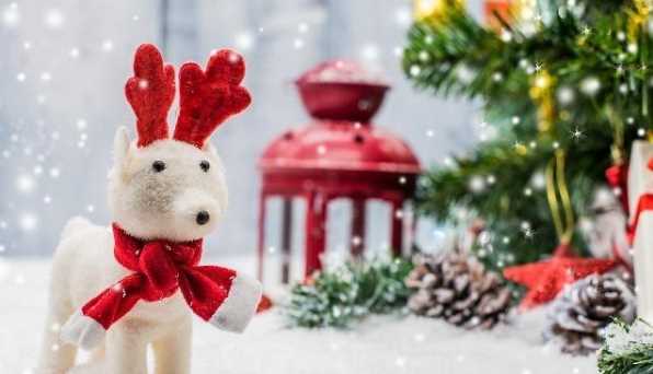 圣誕節(jié)起源于哪個國家,圣誕節(jié)來源于哪個國家等共性問題圖3