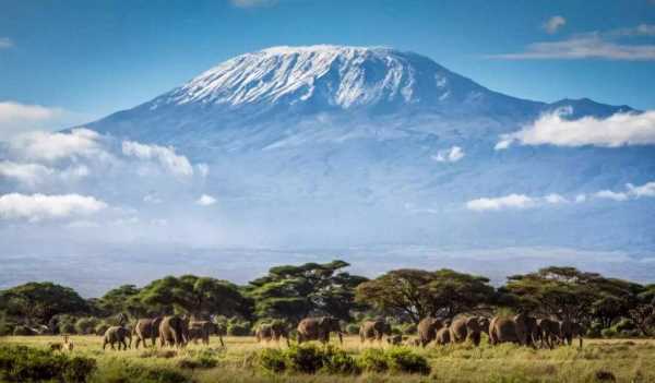 赤道雪山是哪座山,被稱為赤道雪峰的是哪一座山脈為什么沙漠中的巖石的形狀像蘑菇世界上...圖3