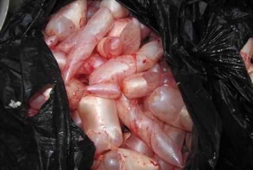 魚肚子里的白球是什么東西