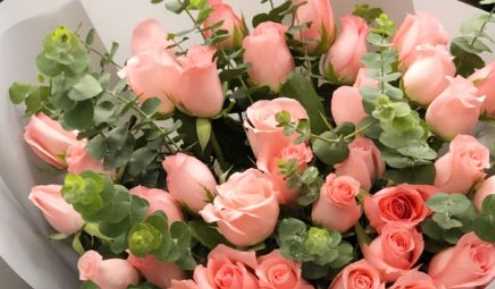 母親節(jié)送什么花,母親節(jié)送什么花給媽媽最合適?圖5