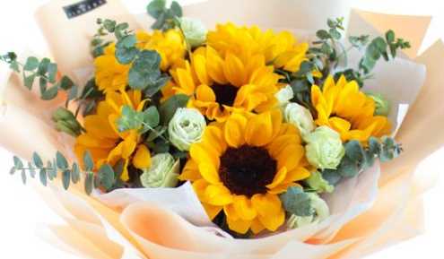 母親節(jié)送什么花,母親節(jié)送什么花給媽媽最合適?圖6