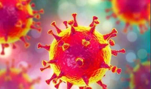 新冠病毒英文名稱covid-9怎么讀,披薩的英文發(fā)音是什么圖3