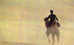 舊時(shí)稱郵局為什么,郵局和郵政局是一樣的嗎圖4