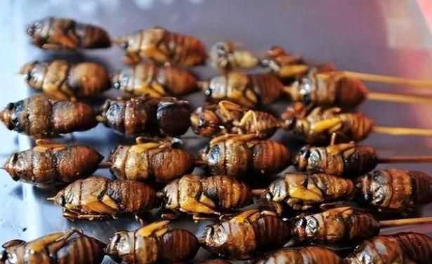 蟬能吃嗎 對(duì)人有害嗎