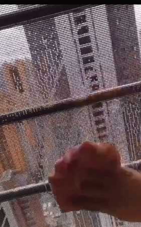 紗窗的柳絮怎么清理