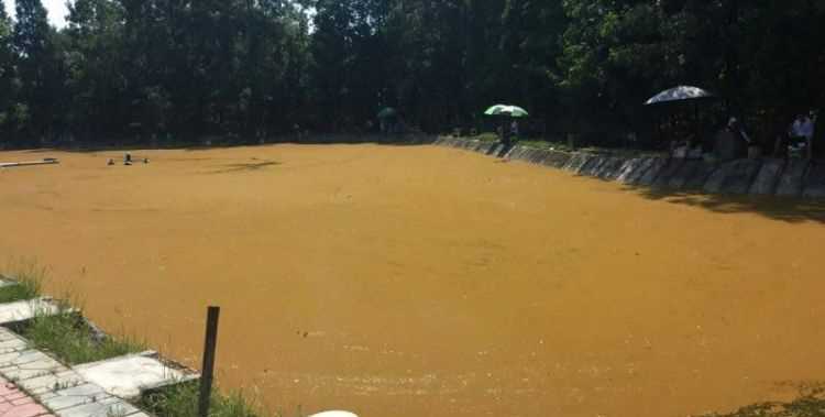 魚塘里有銹水怎么處理視頻