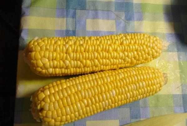 如何煮水果玉米才更甜,水果玉米怎么煮好吃又甜又香圖1
