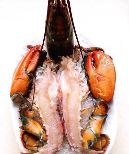 波士頓龍蝦死了還能吃嗎