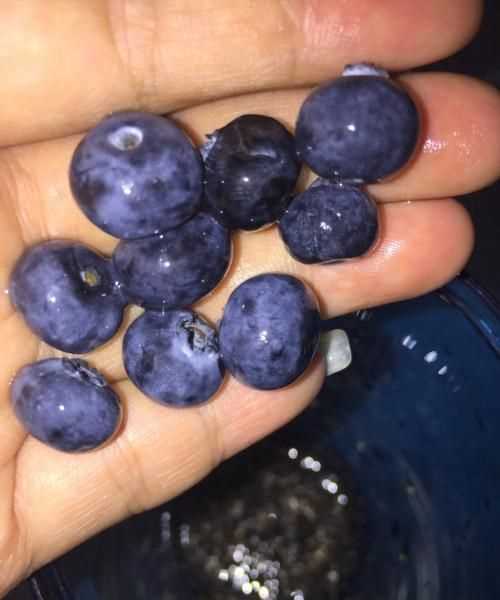 藍莓籽可以吃嗎?