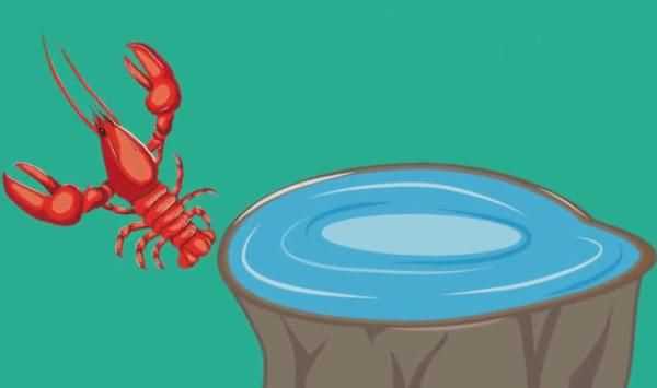 龍蝦過夜能不能吃，蒜蓉小龍蝦隔夜還能吃嗎？圖3