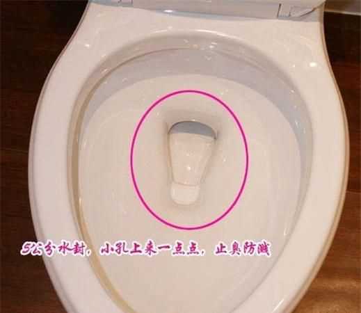 馬桶反味是什么原因