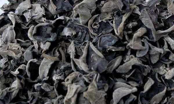 吃了過期的干木耳怎么辦，干木耳保質期多久？圖1