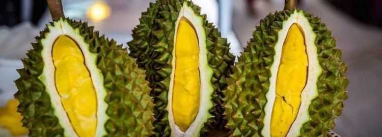 榴蓮殼不屬于廚余垃圾嘛