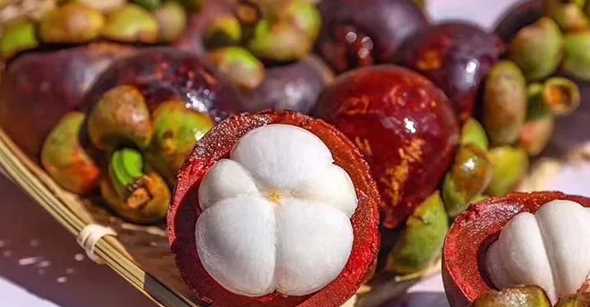 山竹是涼性還是熱性,山竹是涼性還是熱性圖1