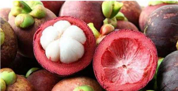 山竹是涼性還是熱性,山竹是涼性還是熱性圖2