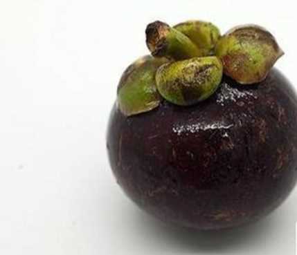 山竹是涼性還是熱性,山竹是涼性還是熱性圖3