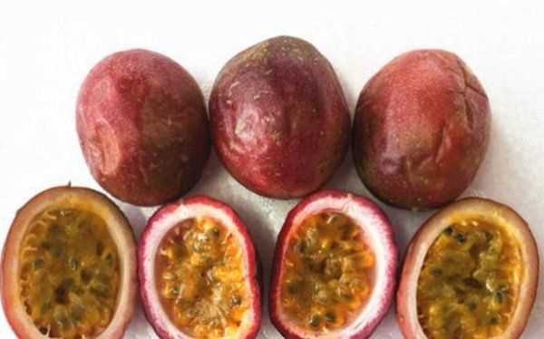 百香果癟了還能吃,百香果流水了還能吃嗎圖5