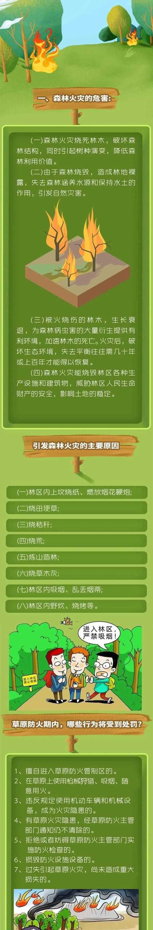 森林草原防火知識