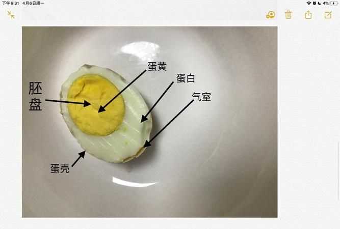 怎么知道煮的雞蛋有沒有熟