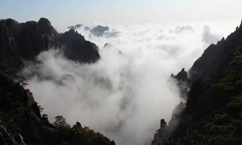 黃山云海有什么特點(diǎn)好看嗎長什么樣子么長的好看