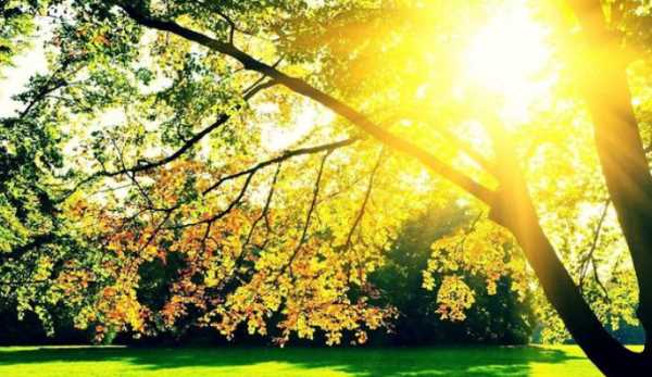 室內有紫外線,陽光沒有直射到室內室內還有紫外線輻射嗎圖1