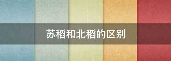 蘇稻和北稻的區(qū)別,稻香村蘇稻和北稻區(qū)別圖1