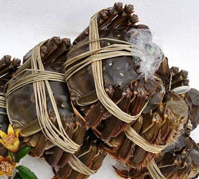 大閘蟹幾月份上市，鄱陽湖大閘蟹何時(shí)上市？圖5