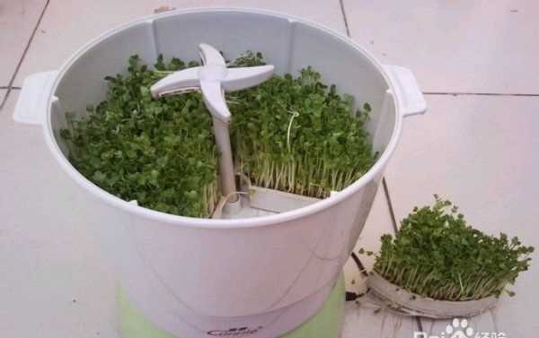 豆芽機(jī)怎么使用,豆芽機(jī)的使用方法介紹圖3