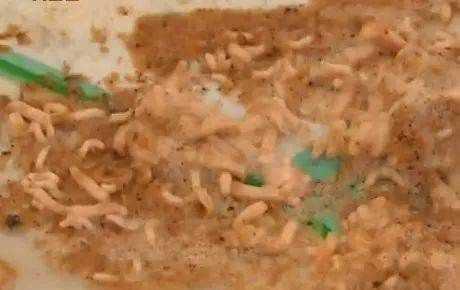 農(nóng)村廁所老有蛆往出爬怎么辦,蹲廁有蛆爬上來怎么辦圖6